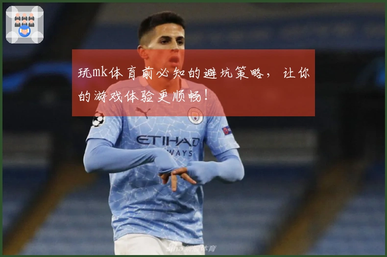玩mk体育前必知的避坑策略，让你的游戏体验更顺畅！